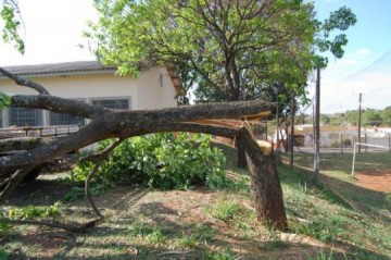 Internauta denuncia corte de ip�s na coordenadoria de Defesa Agropecu�ria