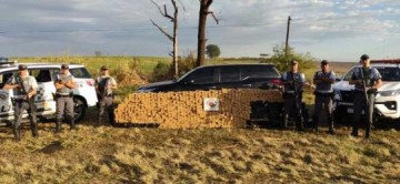 Pol�cia Rodovi�ria apreende mais de 1 tonelada de maconha em Parapu�