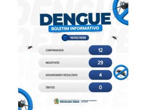 Dengue em Osvaldo Cruz: casos positivos mais que dobram em apenas 5 dias