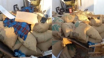 Irm�os s�o presos suspeitos de furtar R$ 100 mil em sacas de caf� em Gar�a