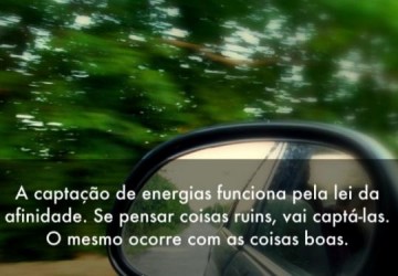 Urubu com urubu, pato com pato