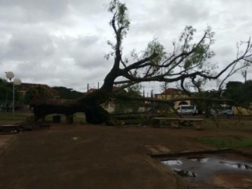 Cabos rompidos por temporal deixam Vila Esperana sem energia por trs horas