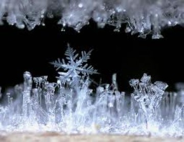 H� 35 anos a geada mudava a ecomonia da regi�o