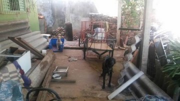 Morador mantinha dezenas de criadouros de mosquito da dengue em casa