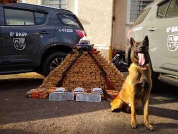 V�DEO: Pol�cia Militar encontra mais de 300 tabletes de drogas enterrados em matagal em Presidente Prudente