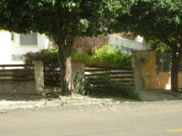 �nibus da Prefeitura bate em �rvore