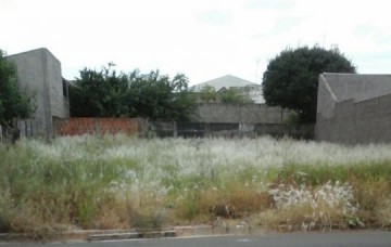 Terreno da Toshio Sato volta a ser alvo de reclama��o