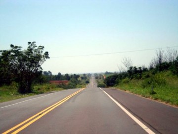 Iacri: caminh�o bate em �rvore e cai em ribanceira na SP-425