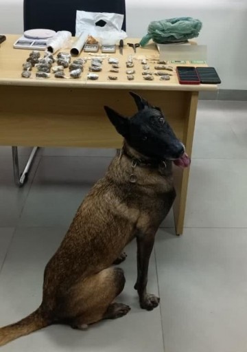 Opera��o Escudo � encerrada em Dracena com entrega � Justi�a de 4 pessoas da mesma fam�lia