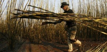 Trabalho sob sol sem pausa faz mal � sa�de e rende indeniza��o, diz Justi�a