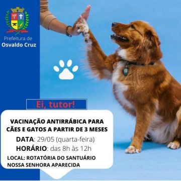 Prefeitura realiza nova etapa de vacina��o antirr�bica na quarta-feira, 29,  em Osvaldo Cruz