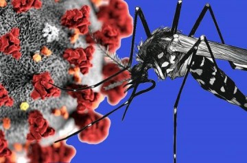 VDEO: Vigilncia Epidemiolgica alerta para aumentos de casos de covid-19 e dengue em OC
