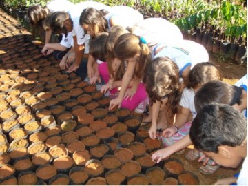 Meio Ambiente divulga balan�o de atividades do semestre