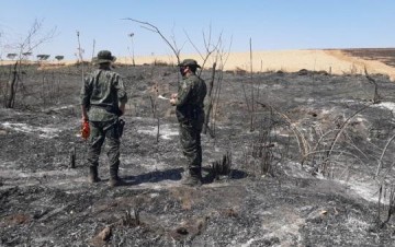 Em Rinpolis: Fazenda  multada em R$ 200 mil por 'degradao ambiental' com uso de fogo