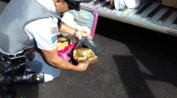 Pol�cia Rodovi�ria registra ocorr�ncia de tr�fico na SP-425 em Parapu� nesta segunda feira