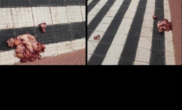 ATEN��O: Moradora denuncia desconhecido que espalha carnes com veneno pelo bairro Jardim Bela Vista