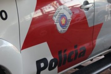 Cachorro come metade de corpo de feto abandonado em Pracinha