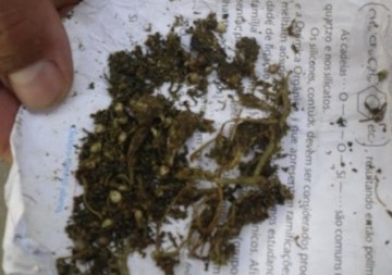 Tup�: dois presos no tr�nsito