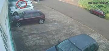 Homem � preso por tentativa de furto de ve�culo e alega que pretendia 'apenas dormir� dentro do autom�vel, em Presidente Prudente