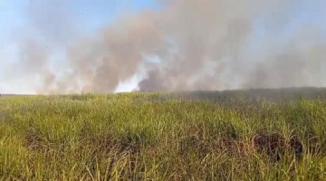 Inc�ndio atinge �rea na regi�o do C�rrego da On�a em Osvaldo Cruz