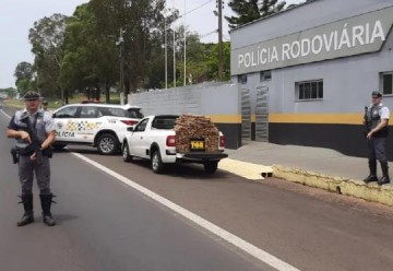 Com mais de 160 quilos de maconha, rapaz de 23 anos apresenta nervosismo � pol�cia e acaba preso na Rodovia Raposo Tavares, em Regente Feij�