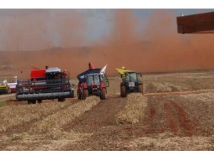 Previs�o de safra recorde de gr�os sobe e atinge 242 milh�es de toneladas