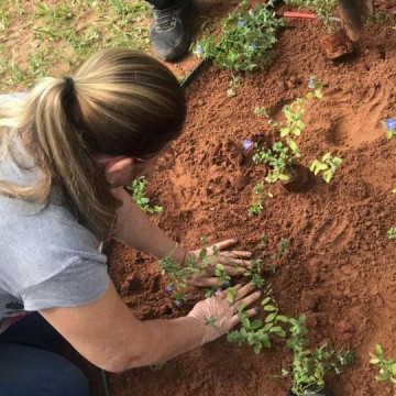 Alunos participam de Curso de Jardinagem