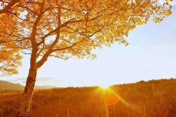 Osvaldo Cruz tem segunda-feira de sol e temperaturas amenas