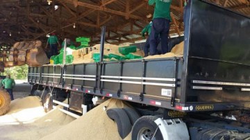 Grande quantidade de maconha � apreendida em rodovia de Teodoro Sampaio