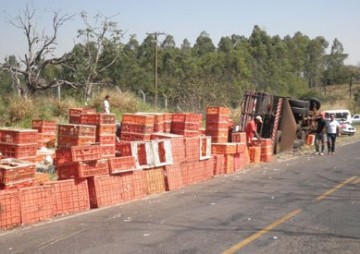 Caminh�o com carga de aves tomba em vicinal de Iacri