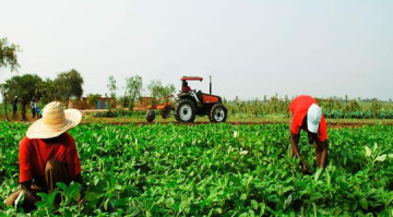 Entrega da DIPAM acontece at� 31 de mar�o