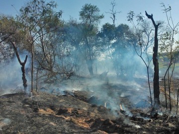 rea de 2 mil metros  destruda em incndio em Presidente Prudente